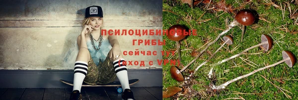 тгк Алексеевка