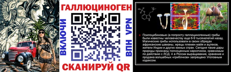 Купить закладки  Ессентукская  Галлюциногенные грибы GOLDEN TEACHER 